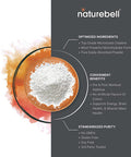 Naturebell Creatine Monohydrate Powder 500 Grams 5000mg Per Serving Pure Unflavored Creatine Powder Micronized Pre Workout Keto Vegan Dissolves Easy Filler 100 Servings 1.1Lb