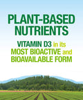 Whole Earth Sea from Natural Factors Vitamin D3 5000 IU 125 mcg Whole Food Supplement Vegan 60 Capsules 60 Servings