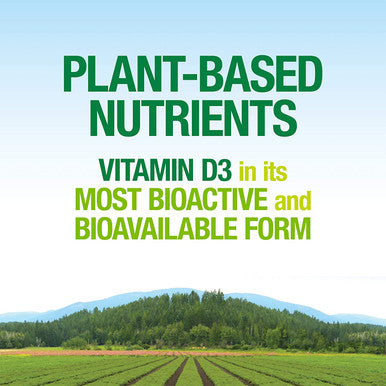 Whole Earth Sea from Natural Factors Vitamin D3 5000 IU 125 mcg Whole Food Supplement Vegan 60 Capsules 60 Servings