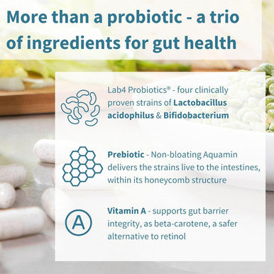 Live Cultures+ Probiotic Complex With Prebiotics For Gut Health, Lactobacillus Acidophilus & Bifidobacterium, 25 Billion Cfu, Vegan, Bloating Relief, 30 Capsules, By Igennus
