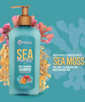 Mielle Organics Sea Moss Anti-Shedding Shampoo