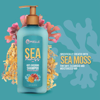Mielle Organics Sea Moss Anti-Shedding Shampoo