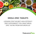 Natures Plus Mega Zinc 100 Mg, 90 Sustained Release Tablets