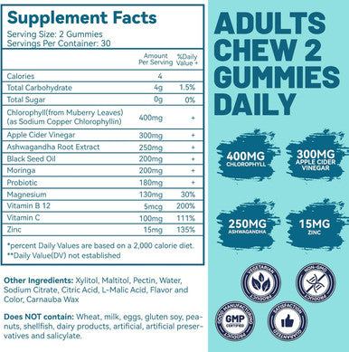 2 Pack Chlorophyll Gummies Sugar Free, Ashwagandha Vitamin B12 Zinc For Healthy Skin & Body Detox, Energy And Metabolism, Chewable Supplement For Women & Men - 120 Count