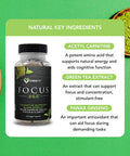Karamd Focus 365 - Nootropic Brain Supplement For Memory & Focus - With Maca Root, Ginseng, Acetyl L-Carnitine & Green Tea - Vegetable Capsules - 30 Servings (60 Capsules)