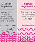 Neocell Super Collagen Type 1 & 3 Unflavored 397 G