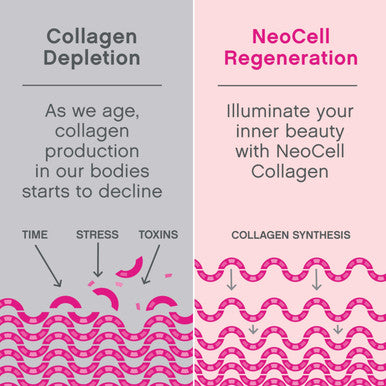 Neocell Super Collagen Type 1 & 3 Unflavored 397 G