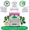 FENUBOOST - Fenugreek Breastfeeding Supplement - 100% Grown & Made in Canada - Lactation Breast Milk Support - 160 count Vegan Capsules