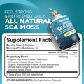Nutrivein Organic Sea Moss 1600Mg Plus Bladderwrack & Burdock - 120 Capsules - Prebiotic Super Food Boosts The Immune System & Digestive Health - Thyroid, Healthy Skin, Keto Detox, Gut, Joint Support
