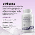 Theralogix Berberine Enhanced Absorption - 90-Day Supply - Made with Berberine Phytosome to Help Support Healthy Metabolism & Hormone Balance - NSF - 90 Capsules