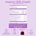 Pink Stork Lactation Supplement Gummies - Support Breast Milk Supply with Milk Thistle Alfalfa Vitamin D and B12 Postpartum Recovery Breastfeeding Essentials - Raspberry 40 Count