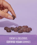 Garden of Life Organics Elderberry Gummies For Adults & Kids - Immune Support Supplement With Organic Fruit Herbal Blend Elderberry EUSAcea Zinc Vitamin C 120 Vegan Gluten Free Gummies