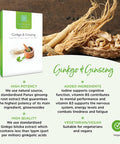 Healthspan Ginkgo & Ginseng | 120 Tablets | Ginkgo Biloba | Panax Ginseng Extracts | Iodine | Vitamin B3 | Vitamin B5 | Vegan