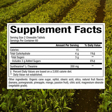 Natural Factors Suntheanine Chewable Tablets 120 Count