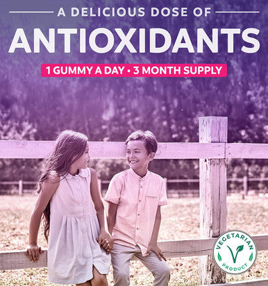 Elderberry Gummies for Kids with Vitamin C Zinc 90 Delicious Raspberry Gummies Immune Support Supplement for Children Sambucus Elderberry Gummies 3 Months Supply Vegetarian No Pills