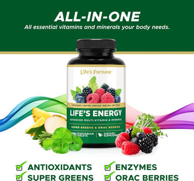 Life's Fortune Life's Energy Advanced Multi-Vitamin and Mineral for Men & Women Non-GMO - Super Greens - ORAC Berries - AntiOxidants - Enzymes - Iron Free - GMP Tested 120 Veggie Tablets