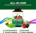 Life's Fortune Life's Energy Advanced Multi-Vitamin and Mineral for Men & Women Non-GMO - Super Greens - ORAC Berries - AntiOxidants - Enzymes - Iron Free - GMP Tested 120 Veggie Tablets