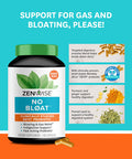 Zenwise No Bloat Supplement with Probiotics Turmeric and Digestive Enzymes Bloating and Gas Relief Ginger Dandelion and Cinnamon to Improve Digestion for Women Men Vegan Formula 60 Count