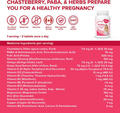 Fertility Prenatal Vitamins for Women Trying to Conceive, Support Healthy Cycles, Helps Fertility - Vitex (Chaste Berry), PABA, Folate Folic Acid 500mcg, B12, Zinc - 45 days Supply - Allmom's Choice