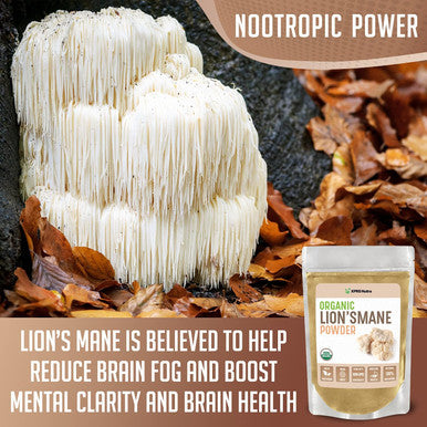 Xprs Nutra Organic Lion's Mane 8 Ounce with Size 00 Empty Capsules DIY Supplement Filling