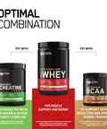 Optimum Nutrition Gold Standard 100% Whey Muscle Building And Recovery Protein Powder With Naturally Occurring Glutamine And Bcaa Amino Acids Vanilla Ice Cream Flavour 10 Servings 300G