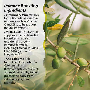 Irwin Naturals Immuno-Shield All Season Wellness For Body's Natural Defense System - 100 Liquid Softgels