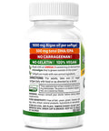 Deva Vegan Omega-3 DHA EPA Supplement - Once-Per-Day Softgel 500 MG - Carrageenan - Gelatin - Non-Fish - Algae Oil Omega-3 Fatty Acids - 60 Softgels