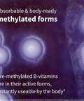 Super B-Complex Methylated Sustained Release Clean Label B Complex 180 Small Tablets
