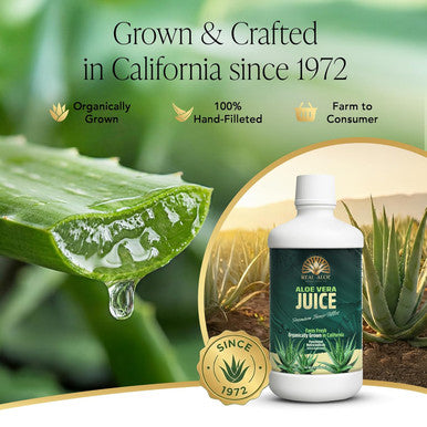 Real Aloe Aloe Vera Juice (32 fl oz)