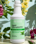 Nature'S Sunshine Liquid Chlorophyll Extra Strength - Immunity Support, Detox & Cleanse, Chlorophyll Liquid Drops With Spearmint