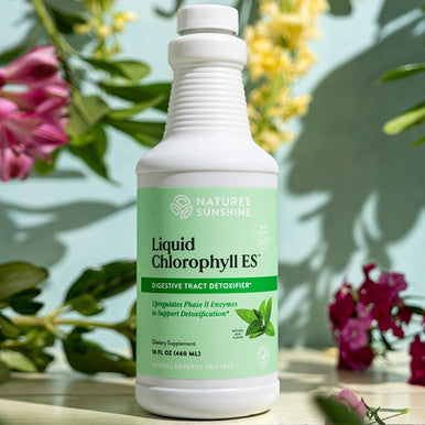 Nature'S Sunshine Liquid Chlorophyll Extra Strength - Immunity Support, Detox & Cleanse, Chlorophyll Liquid Drops With Spearmint