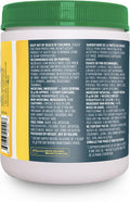Organika Creatine Powder - Pure Micronized Creatine Monohydrate - Helps Build Lean Muscle, Increase Strength, And Improved Recovery And Performance - 500G