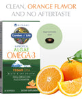 Garden Of Life Minami Algae Omega 3 Vegan Dha For Brain And Eye Health - Orange Flavor 500Mg Plant Based Dha Omega-3 Vegan Algae Oil Plus Astaxanthin No Aftertaste 60 Easy-To-Swallow Mini Softgels