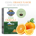 Garden Of Life Minami Algae Omega 3 Vegan Dha For Brain And Eye Health - Orange Flavor 500Mg Plant Based Dha Omega-3 Vegan Algae Oil Plus Astaxanthin No Aftertaste 60 Easy-To-Swallow Mini Softgels