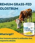 Energievoll Bovine Colostrum Supplement Powder 50 Servings 3000 Mg