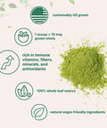 Micro Ingredients Sustainably US Grown Organic Wheat Grass Powder (100% Whole-Leaf) 16 Ounce Rich in Immune Vitamins Fibers and Minerals Support Digestion Function Vegan Friendly