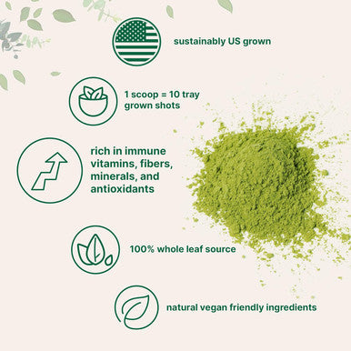 Micro Ingredients Sustainably US Grown Organic Wheat Grass Powder (100% Whole-Leaf) 16 Ounce Rich in Immune Vitamins Fibers and Minerals Support Digestion Function Vegan Friendly