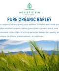 Organic Barley Grass Powder by Holistic Bin | Fermented with 35 Strains of Probiotics | Fermented Green Superfood Powder for Smoothies & Juice | 30 Day Supply (50 g)