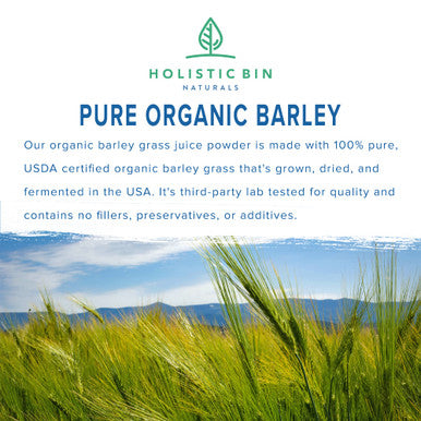 Organic Barley Grass Powder by Holistic Bin | Fermented with 35 Strains of Probiotics | Fermented Green Superfood Powder for Smoothies & Juice | 30 Day Supply (50 g)