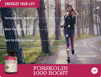 NatureWise Premium Forskolin 1000 Boost Highest Concentration Pure Forskolin for Weight Maintenance Natural Thermogenic Blend with Green Tea Yerba Mate Guarana Coleus Forskohlii 1 Month Supply