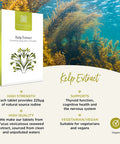 Healthspan Kelp Extract | 360 Tablets | Rich Source of Iodine | Fucus Vesiculosus Seaweed | Vegan