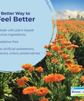 Boiron Stress Calm for Relief of Stress Anxiousness Nervousness Irritability and Fatigue 60 Count
