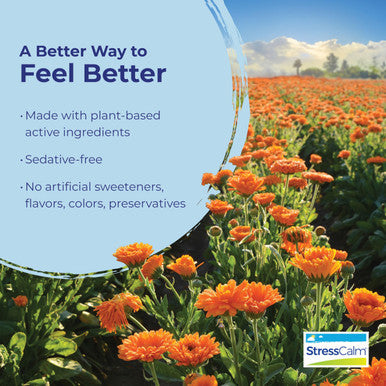 Boiron Stress Calm for Relief of Stress Anxiousness Nervousness Irritability and Fatigue 60 Count