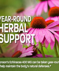 Bronson Echinacea 400mg Herbal Support - Supports Healthy Well Being & Immune System, 250 Capsules