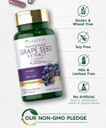 Carlyle Grape Seed Extract 4000mg | 120 Quick Release Capsules | Standardized Extract Complex with Polyphenols | Non-GMO Gluten Supplement