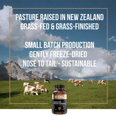 Grassfed Beef Organs Supplement Grass Fed Organ Complex Liver Brain Heart Thymus Kidney Spleen Gallbladder Pancreas Lung Organ Pills Ancestral Formula 180 Capsules by Optimal Carnivore