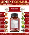 2 Packs Lions Mane Mushroom Capsules, Equivalent to 5050mg, 6 Month Supply with Cordeyceps, Reishi, Ashwagandha, Panax Ginseng, Focus, Memory and Brain Support Supplement, Immune Support, Energy Pills