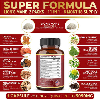 2 Packs Lions Mane Mushroom Capsules, Equivalent to 5050mg, 6 Month Supply with Cordeyceps, Reishi, Ashwagandha, Panax Ginseng, Focus, Memory and Brain Support Supplement, Immune Support, Energy Pills