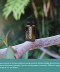 Nature s Fusions Ginger Root 100% Pure & Essential Oils 5 Fl Oz