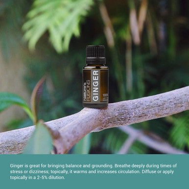 Nature s Fusions Ginger Root 100% Pure & Essential Oils 5 Fl Oz